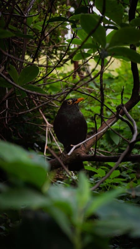 Photography by Christopher Mathias Lederer - Photo 2
