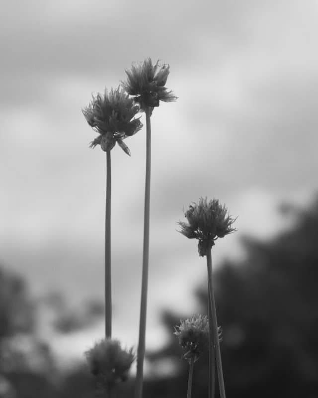 Photography by Christopher Mathias Lederer - Photo 33