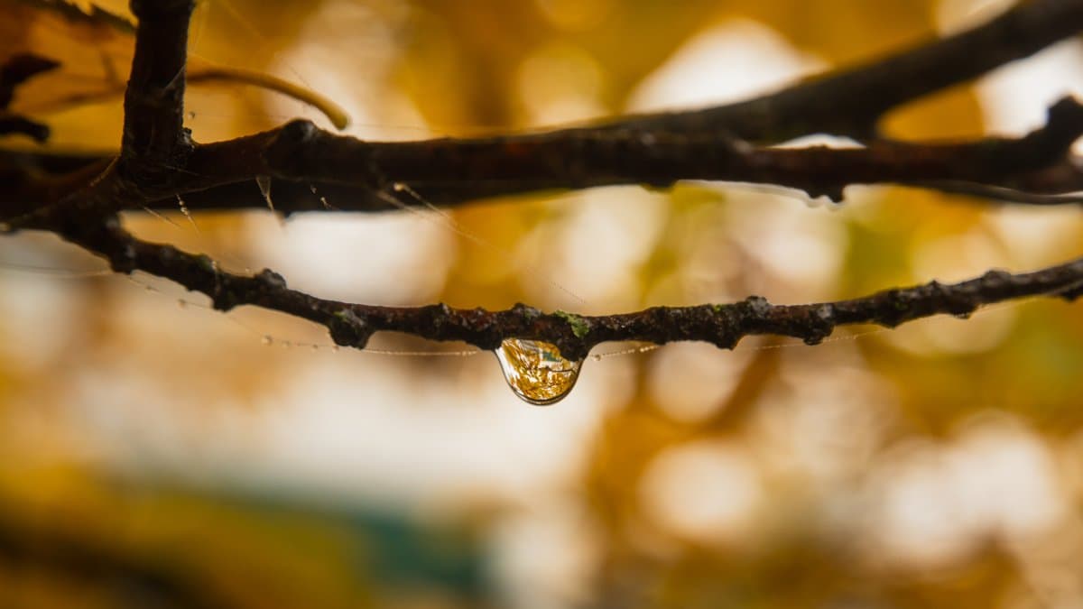 Photography by Christopher Mathias Lederer - Photo 6