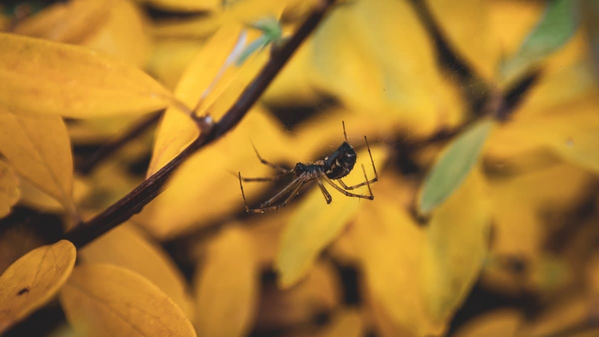 Photography by Christopher Mathias Lederer - Photo 5