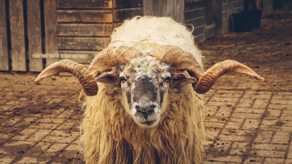 Photography by Christopher Mathias Lederer - Photo 4