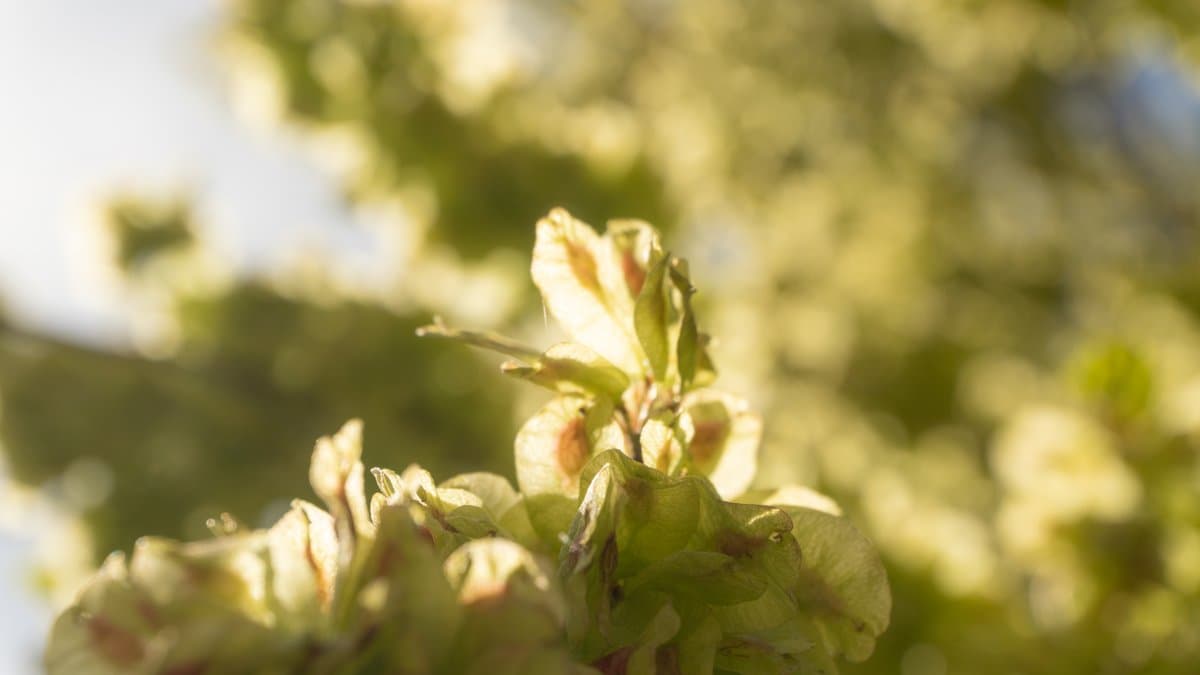 Photography by Christopher Mathias Lederer - Photo 10