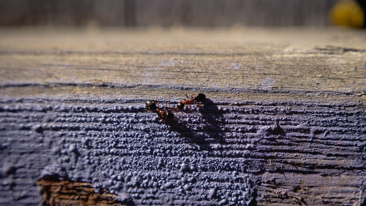 Photography by Christopher Mathias Lederer - Photo 9