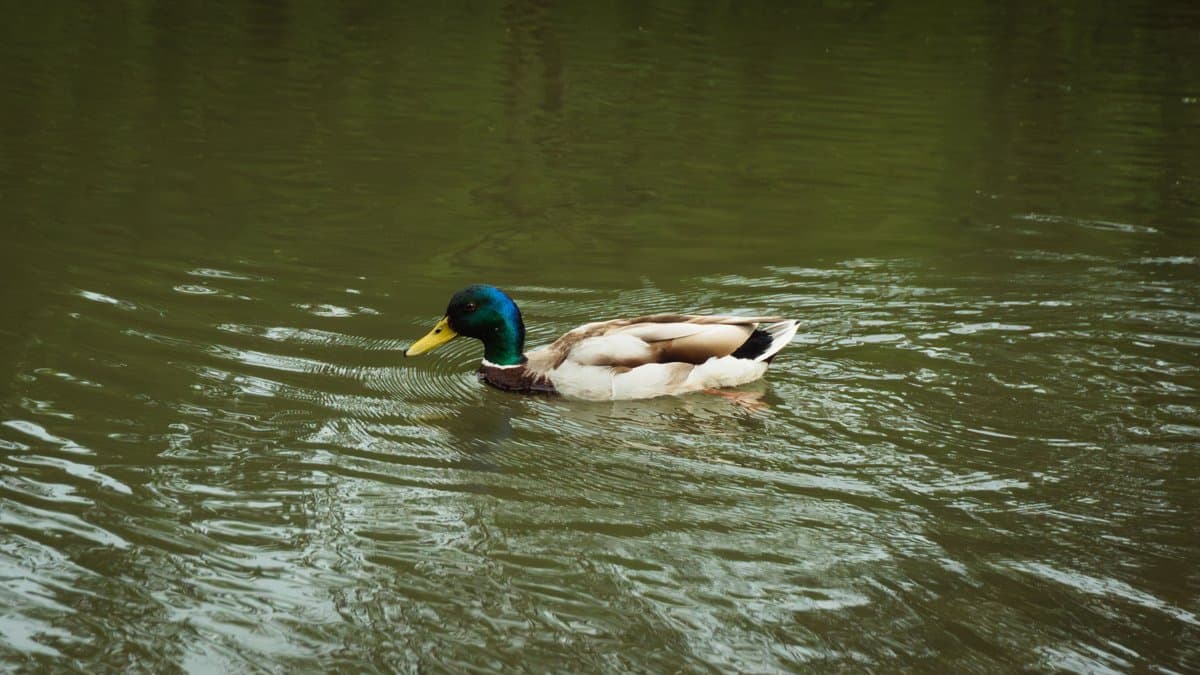 Photography by Christopher Mathias Lederer - Photo 5