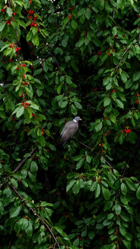 Photography by Christopher Mathias Lederer - Photo 1