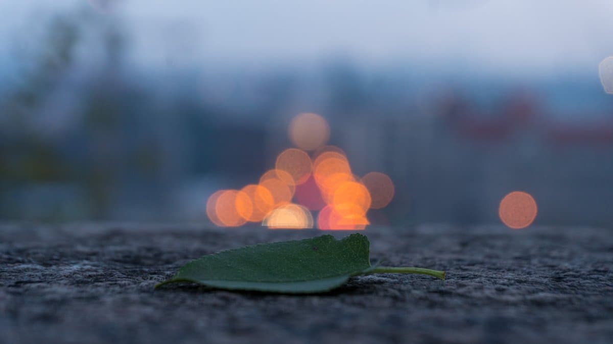 Photography by Christopher Mathias Lederer - Photo 73