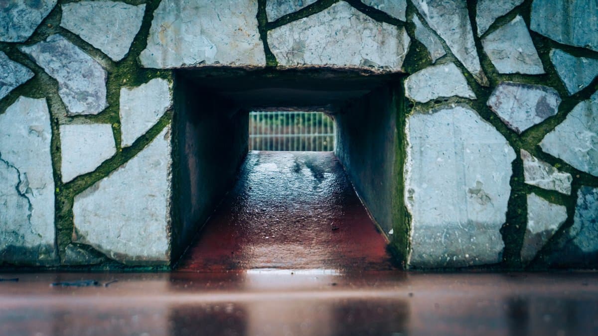 Photography by Christopher Mathias Lederer - Photo 53