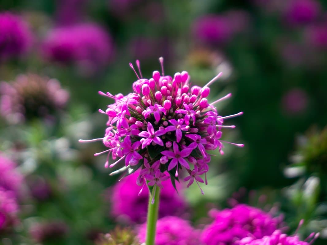 Photography by Christopher Mathias Lederer - Photo 39