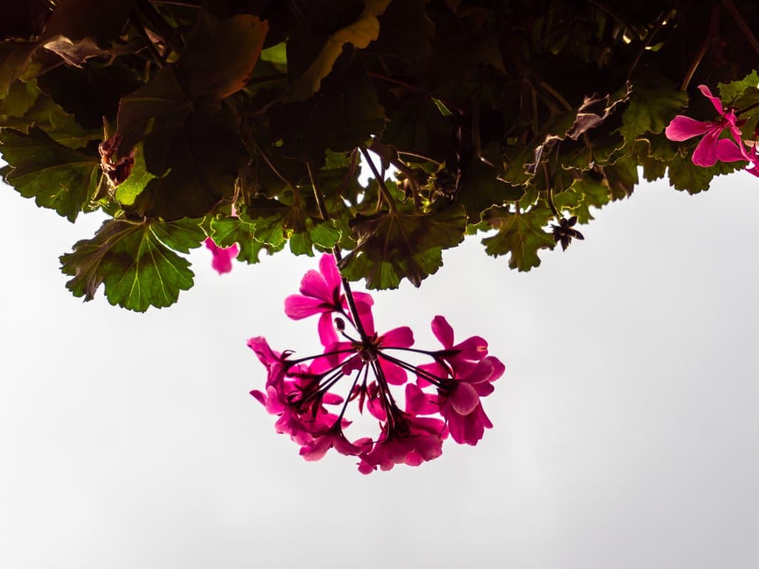 Photography by Christopher Mathias Lederer - Photo 57