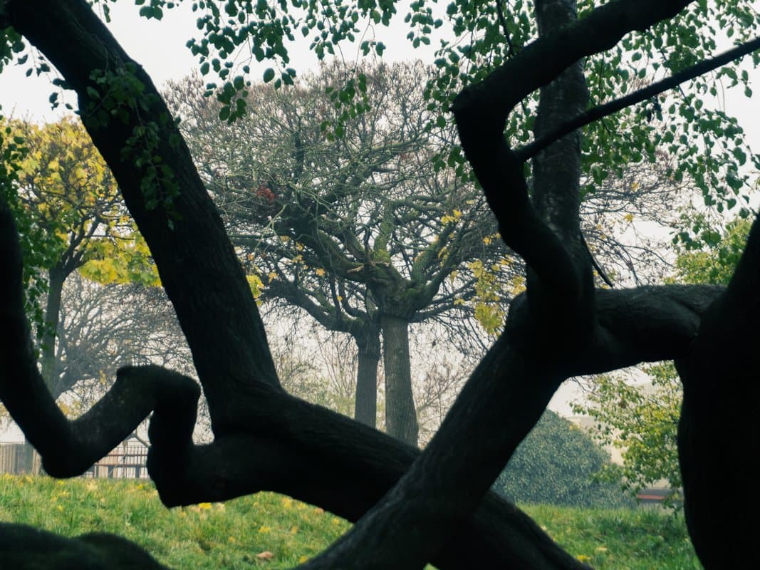 Photography by Christopher Mathias Lederer - Photo 63