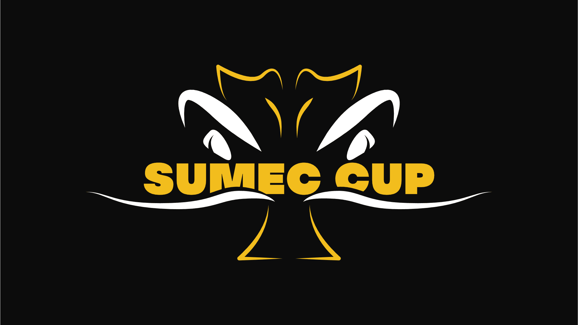 Sumec Cup - Portfolio preview